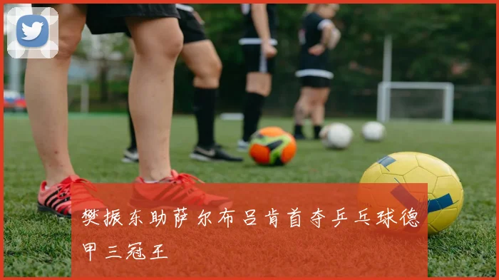 樊振东助萨尔布吕肯首夺乒乓球德甲三冠王